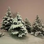 L'ansloboys Montagne Al2 Апартаменты Ле дез Альп