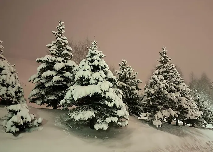 L'ansloboys Montagne Al2 Apartment Les Deux Alpes