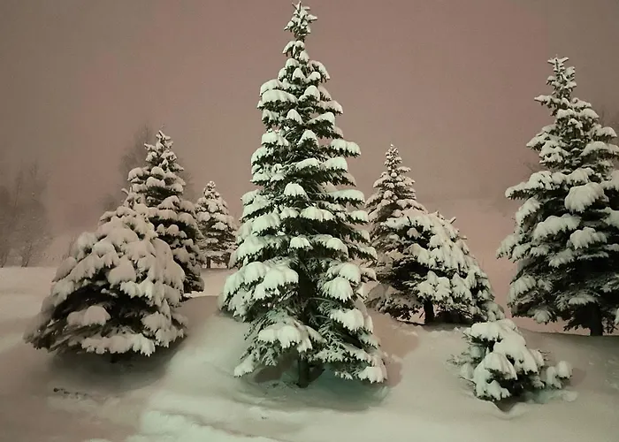 L'ansloboys Montagne Al2 Apartment Les Deux Alpes